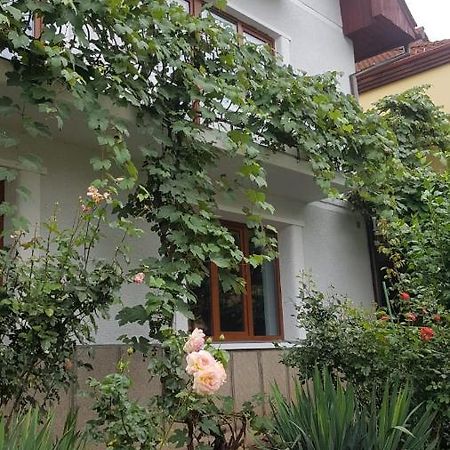 Apartmán Madalina Brašov Exteriér fotografie